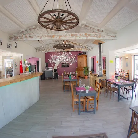 Les Cercelles * Dolus d'Oléron